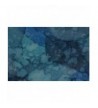 Mulberry Silk Painted Classic Pashmina in Wraps & Pashminas