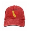 RZM YLY's Sonoma Strong California Unisex Adult Vintage Washed Denim Adjustable Baseball Cap - Red - C2187KE0KMC