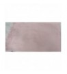 Shawl Cashmere Pashmina Group Powder in Wraps & Pashminas