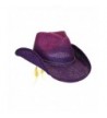 Peter Grimm Women's Toyo Straw Summer Cowboy Hat w/Shapeable Brim - Purple - C512CMTZ6ST