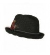 Mens Fedora Weave Crown Feather