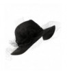 Winter 100% Wool Felt Netting Overlay Fedora Floppy Wide Brim Derby Hat - Black - CA12830YD0X