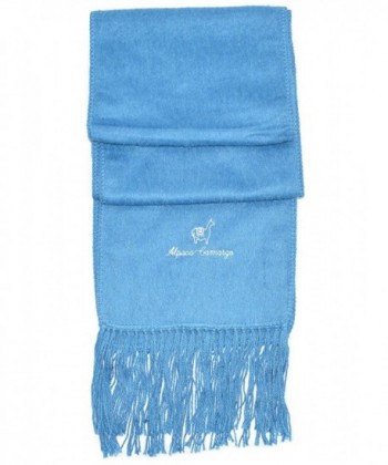 Gamboa Extra Warm Baby Alpaca Scarf - Light Blue - CZ1264SWI3Z