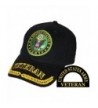 Eagle Emblems Men's U.S. Army Veteran Hat - black - CX11BOXJGXV