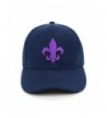 Purple Fleur-de-lis Embroidered Baseball Cap - Navy - CJ17YT2RUT5