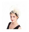 SAFERIN Fascinator Feather Hairband Ta5 Beige - Ta5-beige Mesh Foral - CA18029MHOT