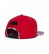 TopHeadwear California Republic Bear Snapback in Men's Baseball Caps