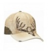 M & F Western Men's Ariat Deer Skull Ballcap Tan One Size - CX11I69PFMR