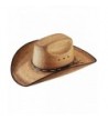 Jason Aldean Men's Resistol Amarillo Sky Cowboy Hat Natural - C111F56FBMN