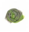 Bucasi Slate Lime Stripe Scarf in Fashion Scarves