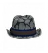 Gray Animal Print Wool Fedora