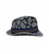 Gray Animal Print Wool Fedora in Men's Fedoras