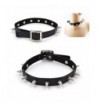 Lychee Collar Heart Choker Leather