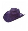 Sparkle Glitter Western / Purple / Red Hat Lady Society - CI112RT8A7N