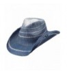 Peter Grimm Ltd Unisex Stadler Straw Cowboy Hat - Pgd9613-Blu-O - Blue - CK11TBEEI8X
