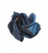 Stylish Shawl Lightweight Fabric Scarf in Fashion Scarves