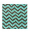 Silverhooks Womens Infinity Chevron Turquoise