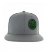 Pot Leaf Hat Collection Premium Puff 3D Embroidery - Snapback Hat Variations - USA. - Gray - CL12NYLEBH1