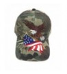 Aesthetinc Patriotic American Eagle and American Flag Baseball Cap USA 3D Embroidery - Military Camo - CX120061ZMR