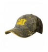 Cat AP Camo Cap - CA12HLERHQT