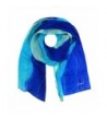 Echo 100% Silk Sandy Shore Fashion Scarf Blue Wave - CL18256RQZC