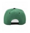 420 Logo Snapback Baseball Hat