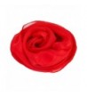 Costume Accessories Chiffon Headband Earrings in Fashion Scarves