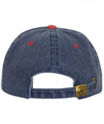 Pigment Plain Cotton Curved Baseball in Men's Baseball Caps