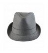 Plain Classic Fedora Trilby 2Colors