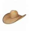 Solid Wing Inch Light Straw in Men's Sun Hats