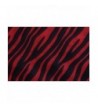 Womens Zebra Print Fashion Pashmina