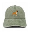 Trendy Apparel Shop Boxer Embroidered Dog Theme Low Profile Dad Hat Cotton Cap - Olive - C3185LTMHWS