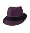 Hatter Layer Pleated Fedora Purple