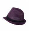 Hatter Layer Pleated Fedora Purple in Men's Fedoras