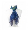 Van Gogh Irises Scarf - CF12JESZO5B